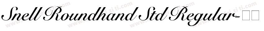 Snell Roundhand Std Regular字体转换